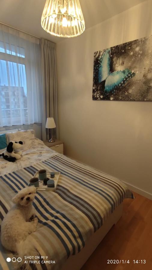 Fregata Apartman Jastrzębia Góra Kültér fotó